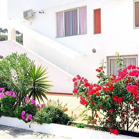 Hotel Ponte